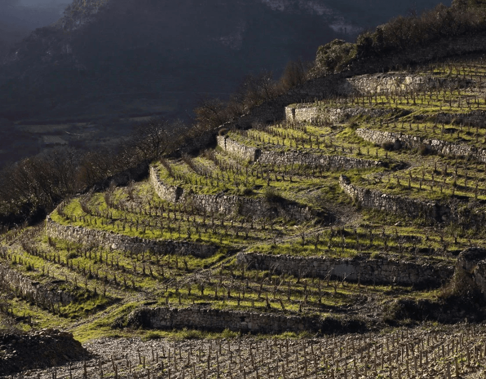 Domaine du Pas de L'Escalette